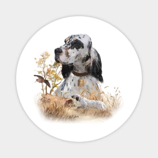 Tri Color English Setter Art, woodcock Hunting Magnet